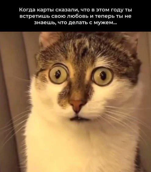 Улыбка на выходные: Ваш заряд позитива! native-yes