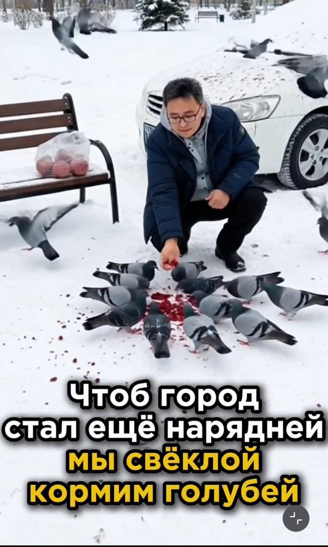 Зарядитесь позитивом! Представляем вам свежую порцию смеха! native-yes