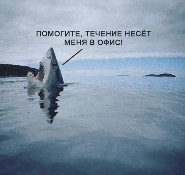 Пятница! А у нас для вас свежая порция мемов и приколов! Пятница! А у нас для вас свежая порция мемов и приколов! native-yes