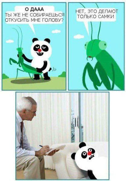 Среда – маленькая пятница! Заряжаемся позитивом с мемами! Среда – маленькая пятница! Заряжаемся позитивом с мемами! native-yes