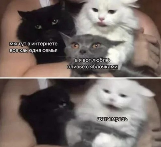 Выходные начинаются с улыбки! Свежая порция юмора для отличного настроения! native-yes