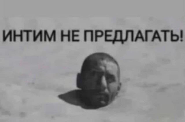 Зарядитесь позитивом! Представляем вам свежую порцию смеха! native-yes