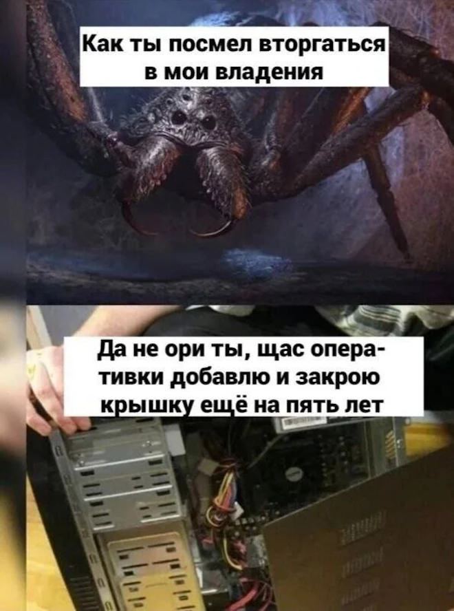 Среда – не повод для грусти! Заряжаемся позитивом с мемами и шутками! Среда – не повод для грусти! Заряжаемся позитивом с мемами и шутками! native-yes