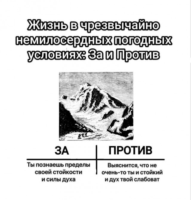 Новый сборник шуток для отличного настроения! Новый сборник шуток для отличного настроения! native-yes