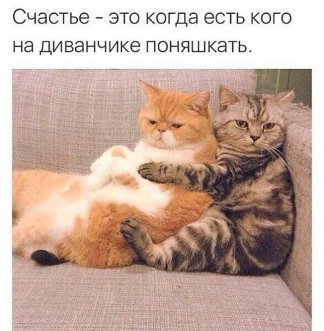 Пятница пришла! Готовы к позитиву? native-yes