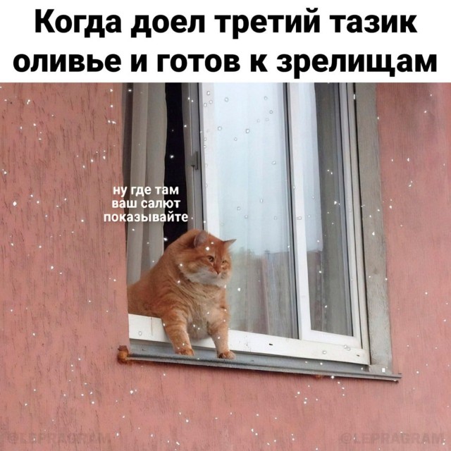 Выходные начинаются с улыбки! Свежая порция юмора для отличного настроения! native-yes