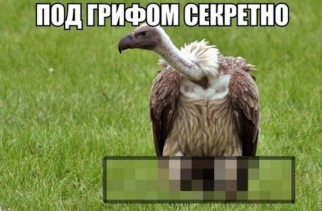 Среда – маленькая пятница! Заряжаемся позитивом с мемами! Среда – маленькая пятница! Заряжаемся позитивом с мемами! native-yes