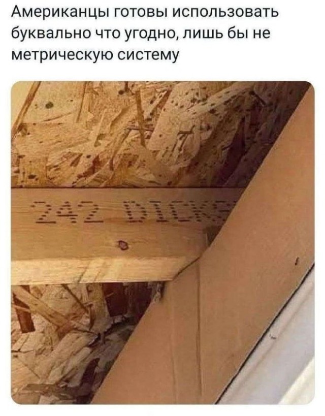 Зарядитесь позитивом! Представляем вам свежую порцию смеха! native-yes