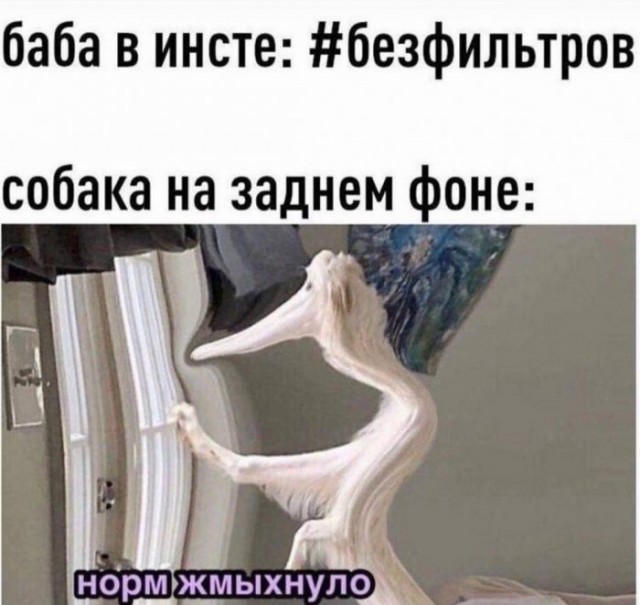 Пятница! А у нас для вас свежая порция мемов и приколов! Пятница! А у нас для вас свежая порция мемов и приколов! native-yes