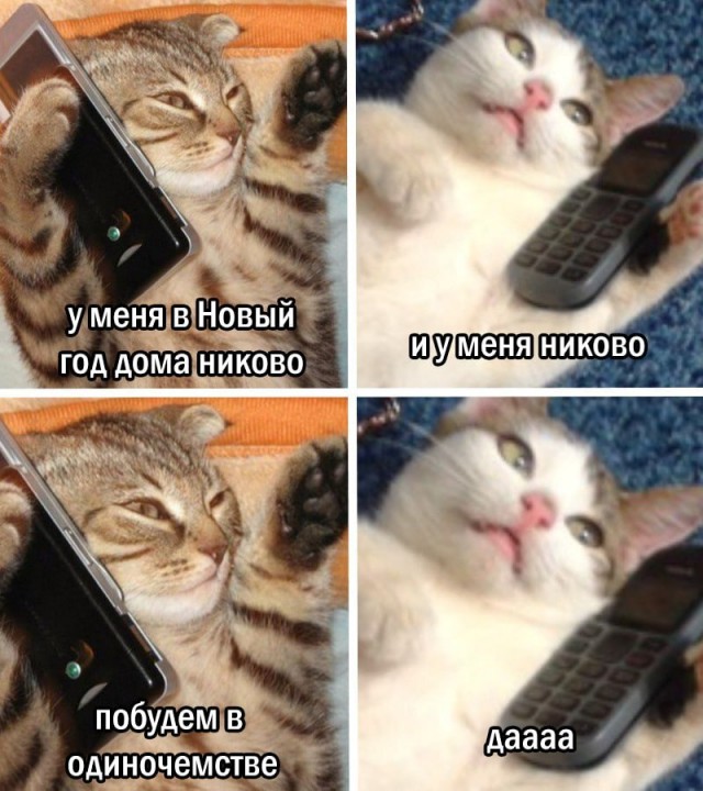 Выходные начинаются с улыбки! Свежая порция юмора для отличного настроения! native-yes