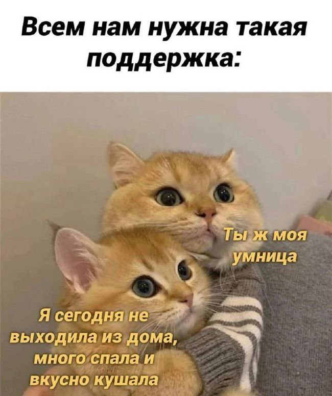 Готовьтесь к выходным с улыбкой! Готовьтесь к выходным с улыбкой! native-yes