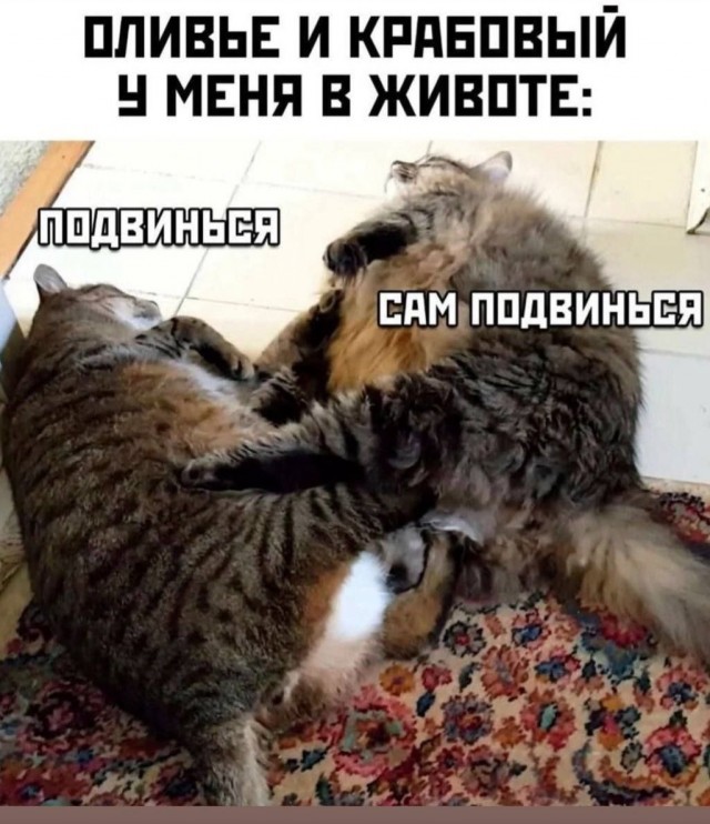 Выходные начинаются с улыбки! Свежая порция юмора для отличного настроения! native-yes