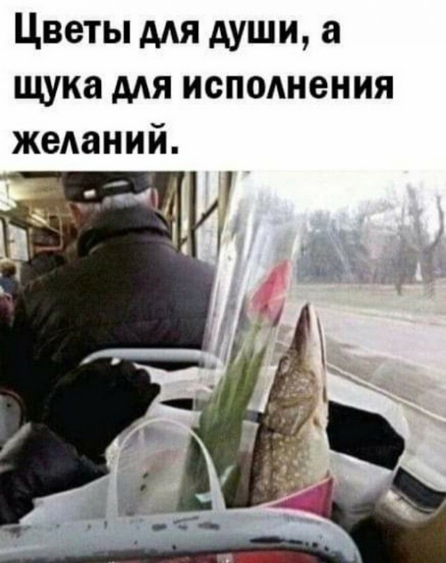 Пятница пришла! Готовы к позитиву? native-yes