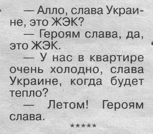 Улыбка на выходные: Ваш заряд позитива! native-yes