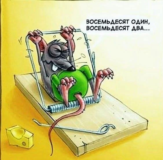 Зарядитесь позитивом! Представляем вам свежую порцию смеха! native-yes