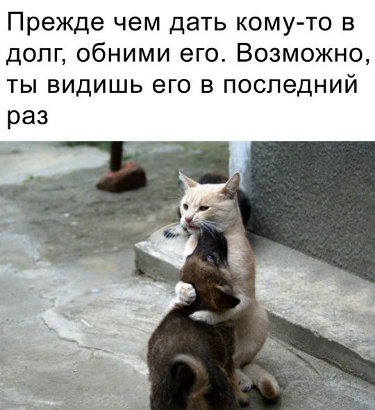 Зарядитесь позитивом! Представляем вам свежую порцию смеха! native-yes