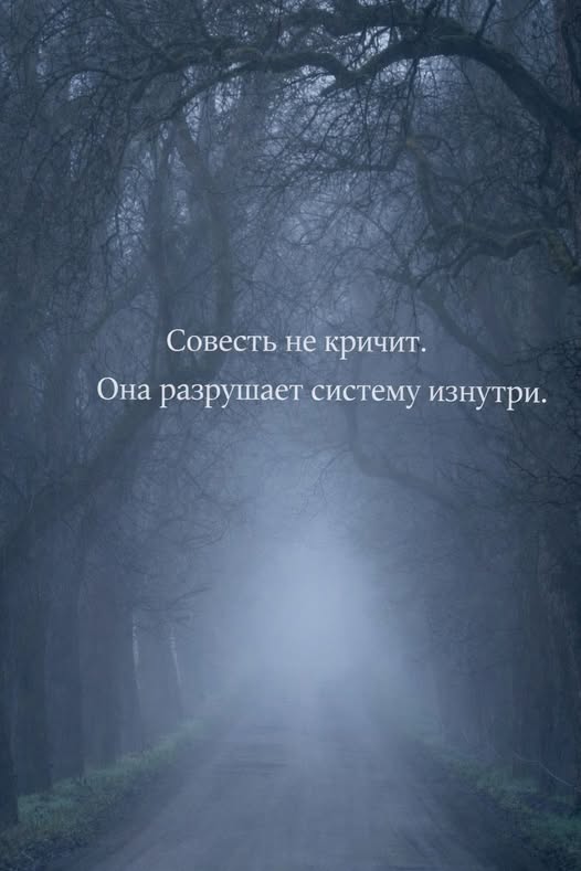 Утро начинается не с кофе, а с улыбки! ️ Подними себе настроение с нашей свежей порцией самых смешных мемов! Утро начинается не с кофе, а с улыбки! ️ Подними себе настроение с нашей свежей порцией самых смешных мемов! native-yes