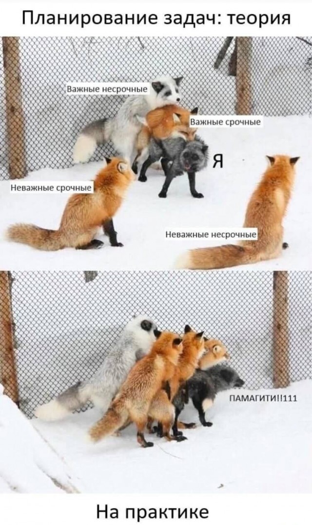 Новые шутки – отличное настроение гарантировано! Новые шутки – отличное настроение гарантировано! native-yes