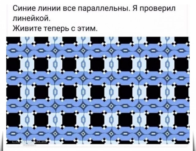 Улыбка на выходные: Ваш заряд позитива! native-yes