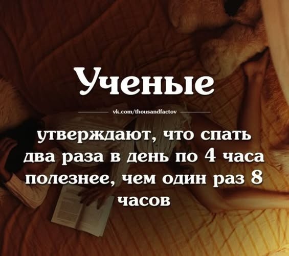 Новый сборник шуток для отличного настроения! Новый сборник шуток для отличного настроения! native-yes