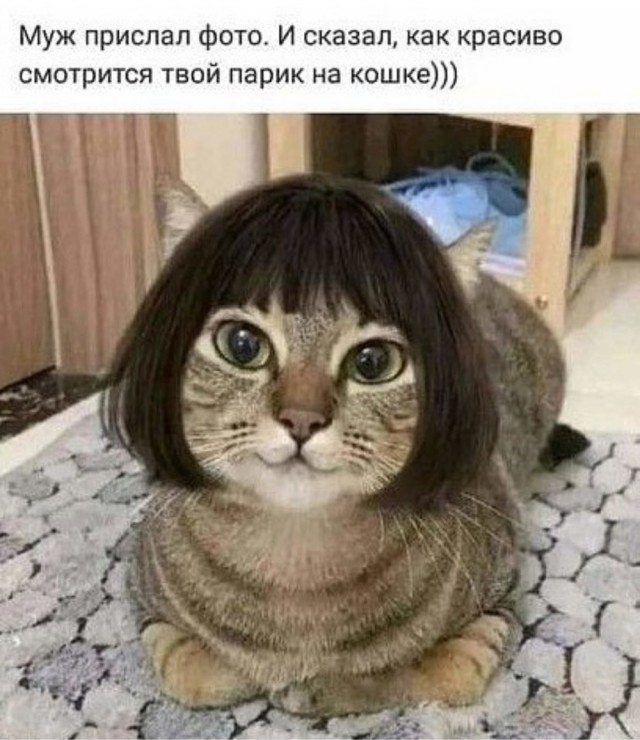 Улыбка на выходные: Ваш заряд позитива! native-yes