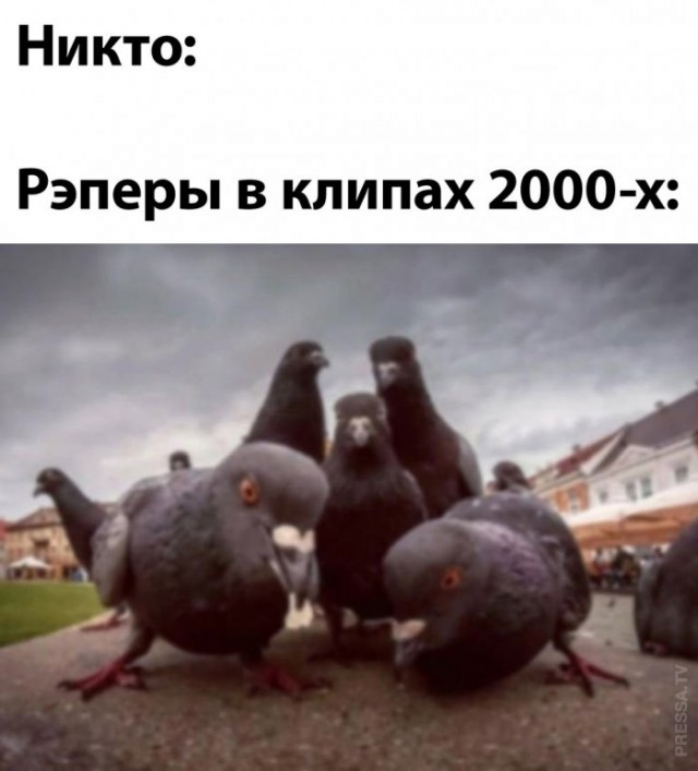 Среда – маленькая пятница! Заряжаемся позитивом с мемами! Среда – маленькая пятница! Заряжаемся позитивом с мемами! native-yes