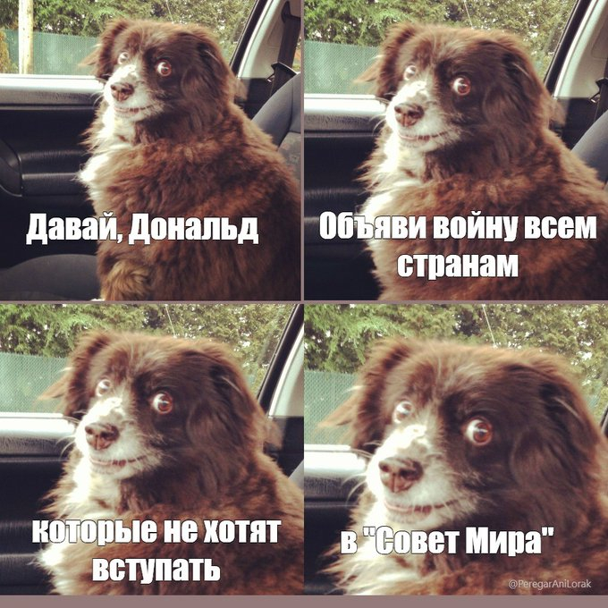 Новый сборник шуток для отличного настроения! Новый сборник шуток для отличного настроения! native-yes