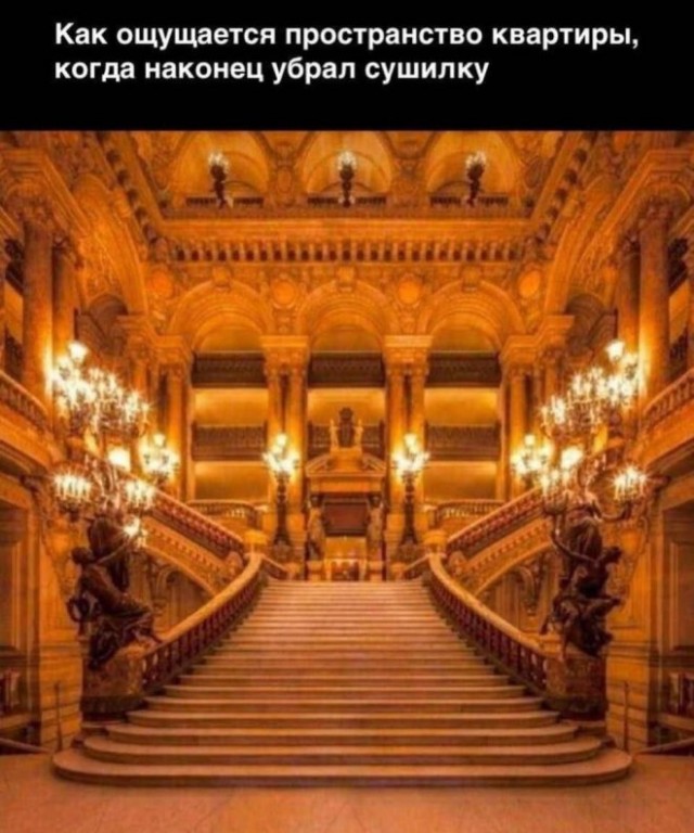 Среда – маленькая пятница! Заряжаемся позитивом с мемами! Среда – маленькая пятница! Заряжаемся позитивом с мемами! native-yes