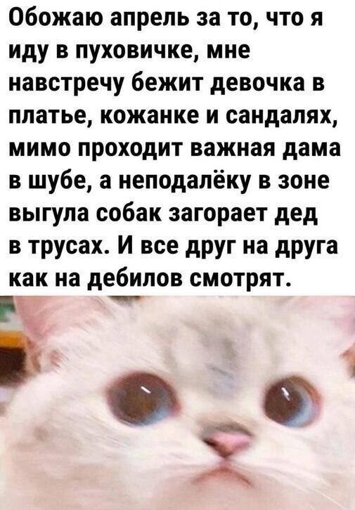 Пятница! А у нас для вас свежая порция мемов и приколов! Пятница! А у нас для вас свежая порция мемов и приколов! native-yes