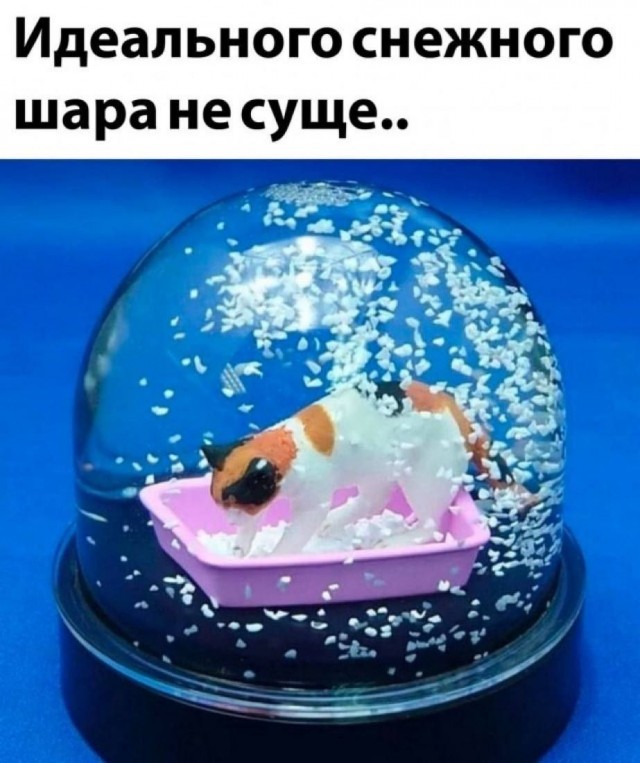 Пятница пришла! Готовы к позитиву? native-yes