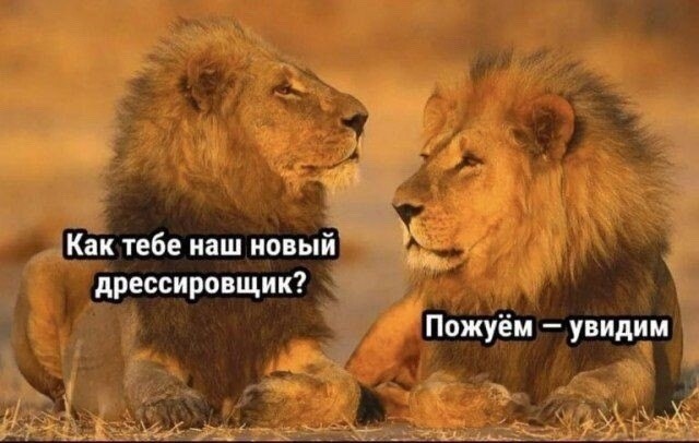 Понедельник? Не беда! Начинаем неделю с улыбки и самых свежих шуток! Понедельник? Не беда! Начинаем неделю с улыбки и самых свежих шуток! native-yes