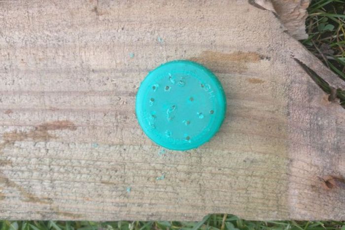 Как сделать полноценную садовую лейку из канистры Как сделать полноценную садовую лейку из канистры native-yes