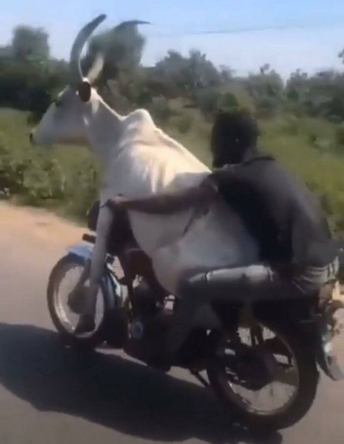 Дождались! Пятница принесла с собой не только выходные, но и порцию свежего юмора! Дождались! Пятница принесла с собой не только выходные, но и порцию свежего юмора! native-yes