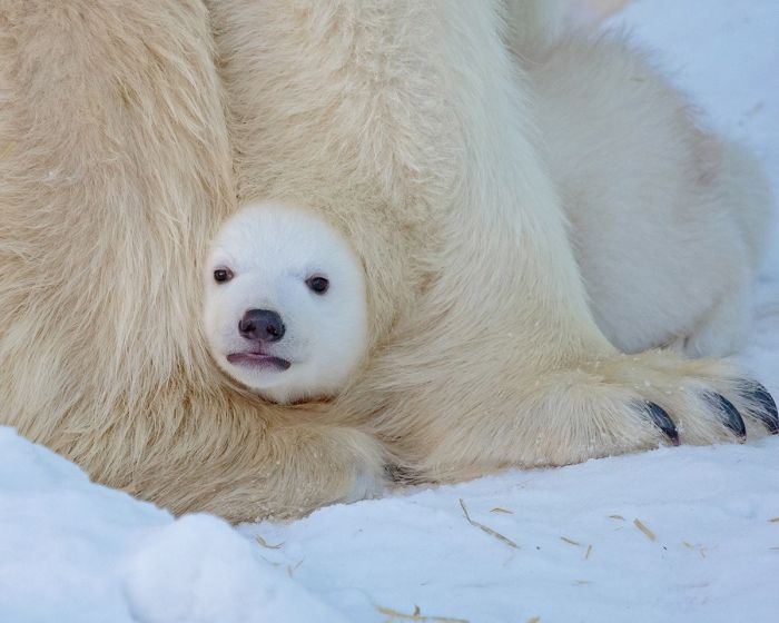 Среда – не повод для грусти! Заряжаемся позитивом с мемами и шутками! Среда – не повод для грусти! Заряжаемся позитивом с мемами и шутками! native-yes