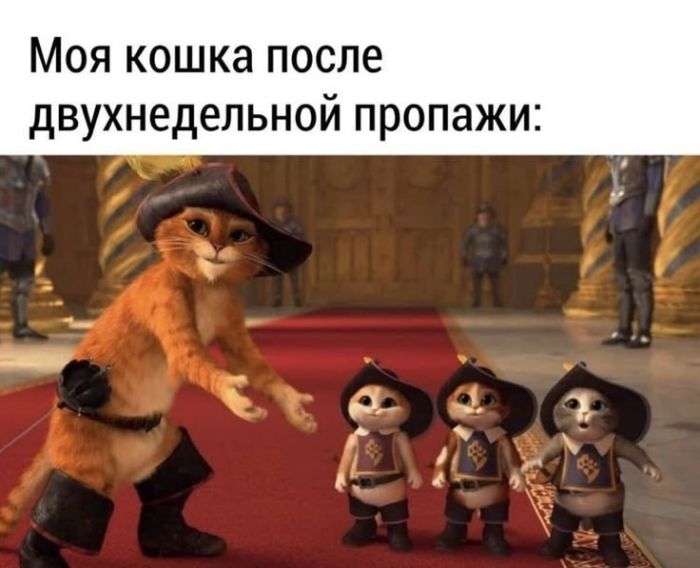 Выходные начинаются с улыбки! Свежая порция юмора для отличного настроения!