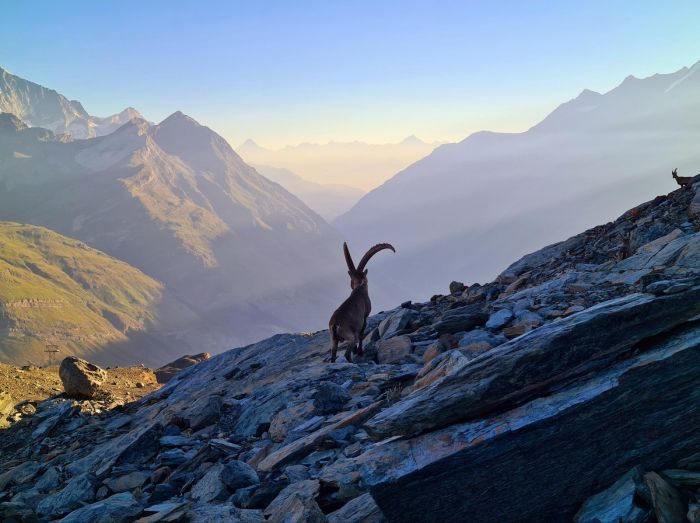 Дождались! Пятница принесла с собой не только выходные, но и порцию свежего юмора! Дождались! Пятница принесла с собой не только выходные, но и порцию свежего юмора! native-yes