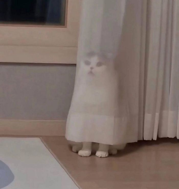 Дождались! Пятница принесла с собой не только выходные, но и порцию свежего юмора! Дождались! Пятница принесла с собой не только выходные, но и порцию свежего юмора! native-yes