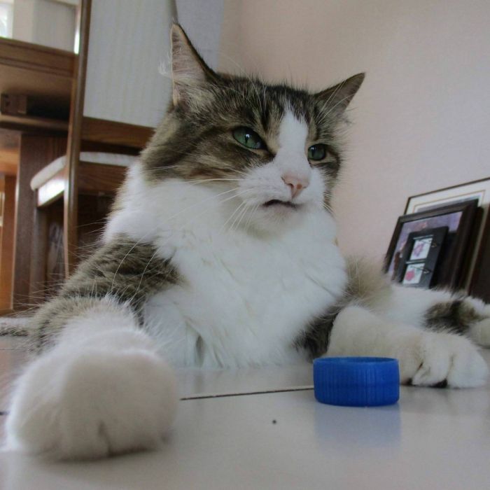 Дождались! Пятница принесла с собой не только выходные, но и порцию свежего юмора! Дождались! Пятница принесла с собой не только выходные, но и порцию свежего юмора! native-yes