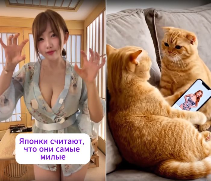 Новые улетные приколы в смешных видео