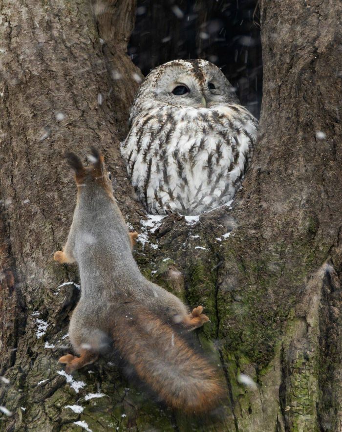 Дождались! Пятница принесла с собой не только выходные, но и порцию свежего юмора! Дождались! Пятница принесла с собой не только выходные, но и порцию свежего юмора! native-yes