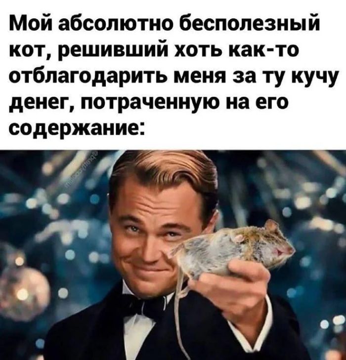 Дождались! Пятница принесла с собой не только выходные, но и порцию свежего юмора! Дождались! Пятница принесла с собой не только выходные, но и порцию свежего юмора! native-yes