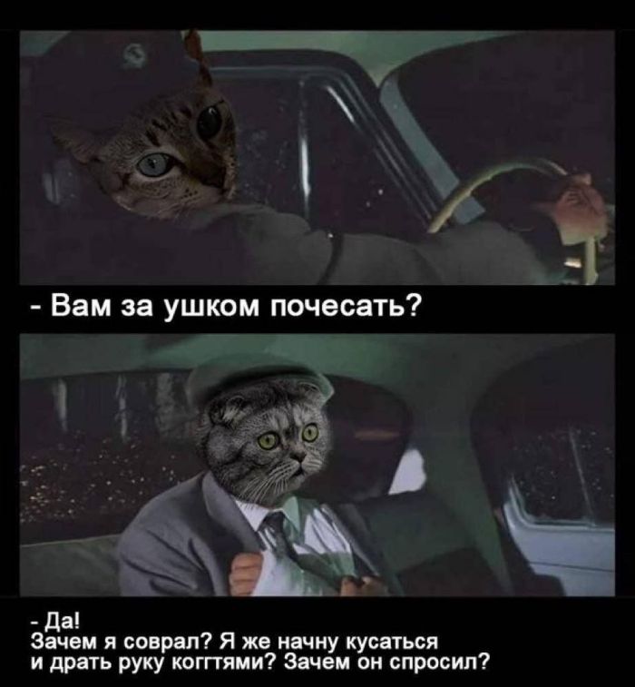 Среда – не повод для грусти! Заряжаемся позитивом с мемами и шутками! Среда – не повод для грусти! Заряжаемся позитивом с мемами и шутками! native-yes