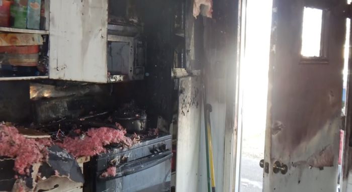 Пушистый проказник из США едва не спалил дом, запрыгнув на плиту