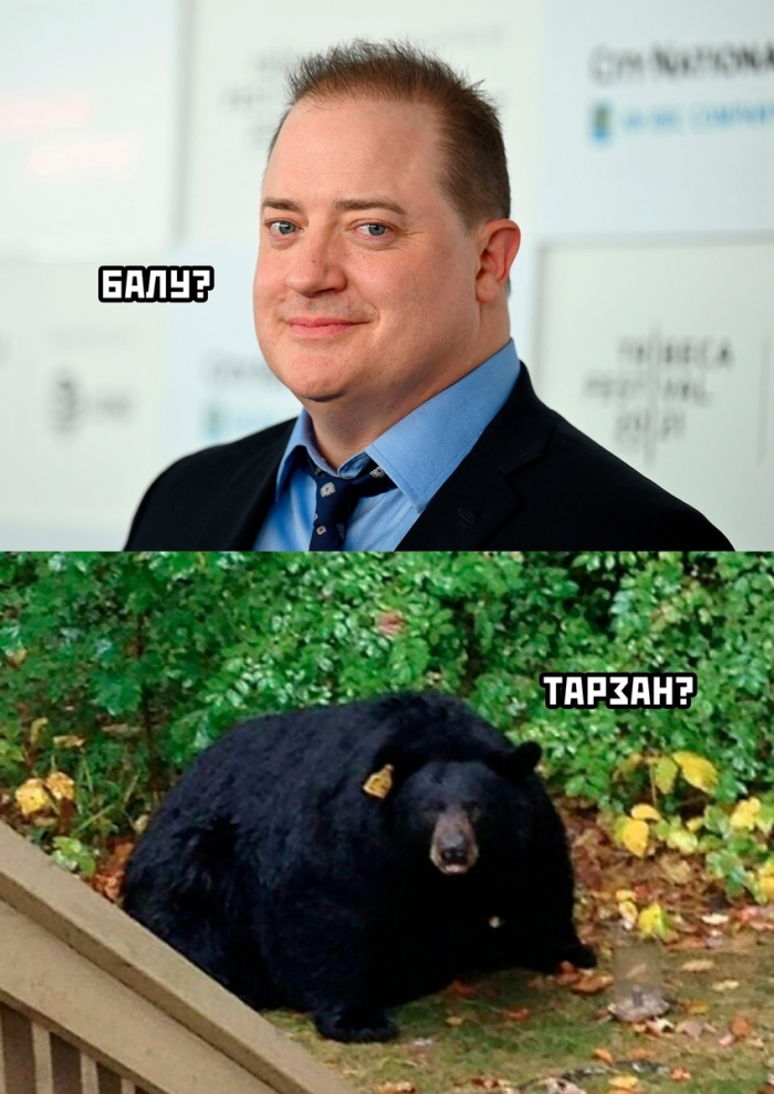 Новые шутки – отличное настроение гарантировано! Новые шутки – отличное настроение гарантировано! native-yes