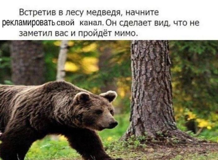 Утро начинается не с кофе, а с улыбки! ️ Подними себе настроение с нашей свежей порцией самых смешных мемов! Утро начинается не с кофе, а с улыбки! ️ Подними себе настроение с нашей свежей порцией самых смешных мемов! native-yes