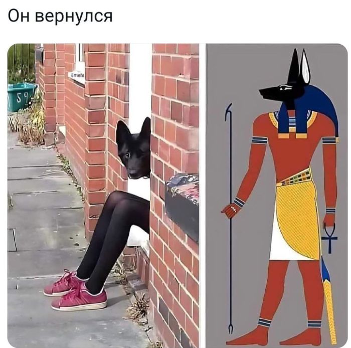 Дождались! Пятница принесла с собой не только выходные, но и порцию свежего юмора! 