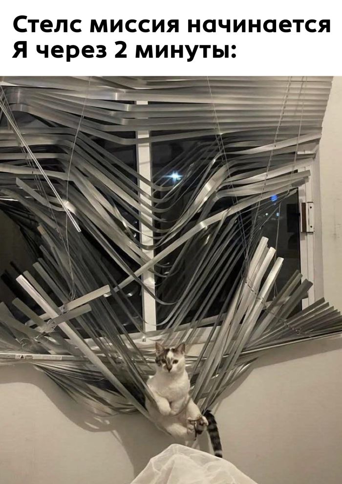 Пятница пришла! Готовы к позитиву? native-yes