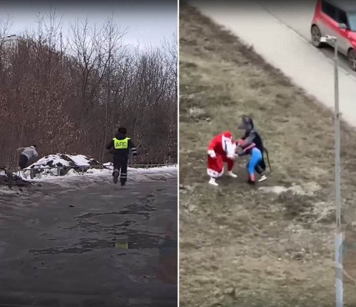 Немного дичи в смешных видео