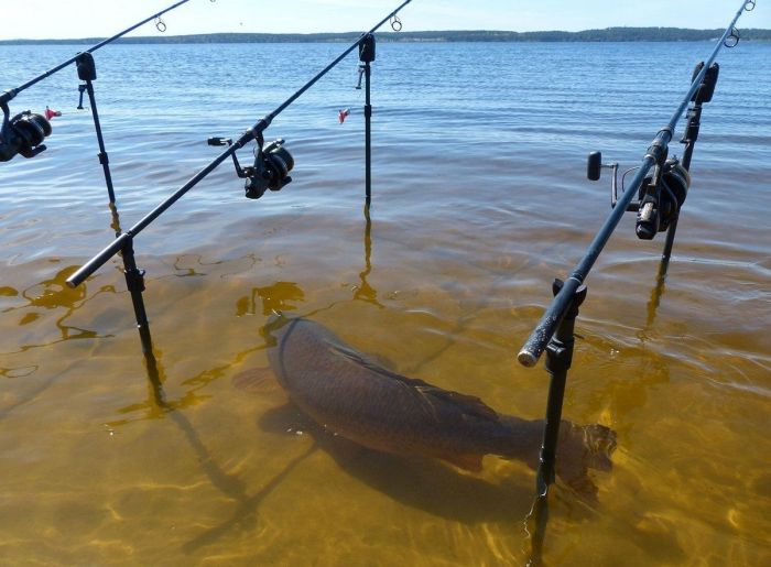 Дождались! Пятница принесла с собой не только выходные, но и порцию свежего юмора! Дождались! Пятница принесла с собой не только выходные, но и порцию свежего юмора! native-yes