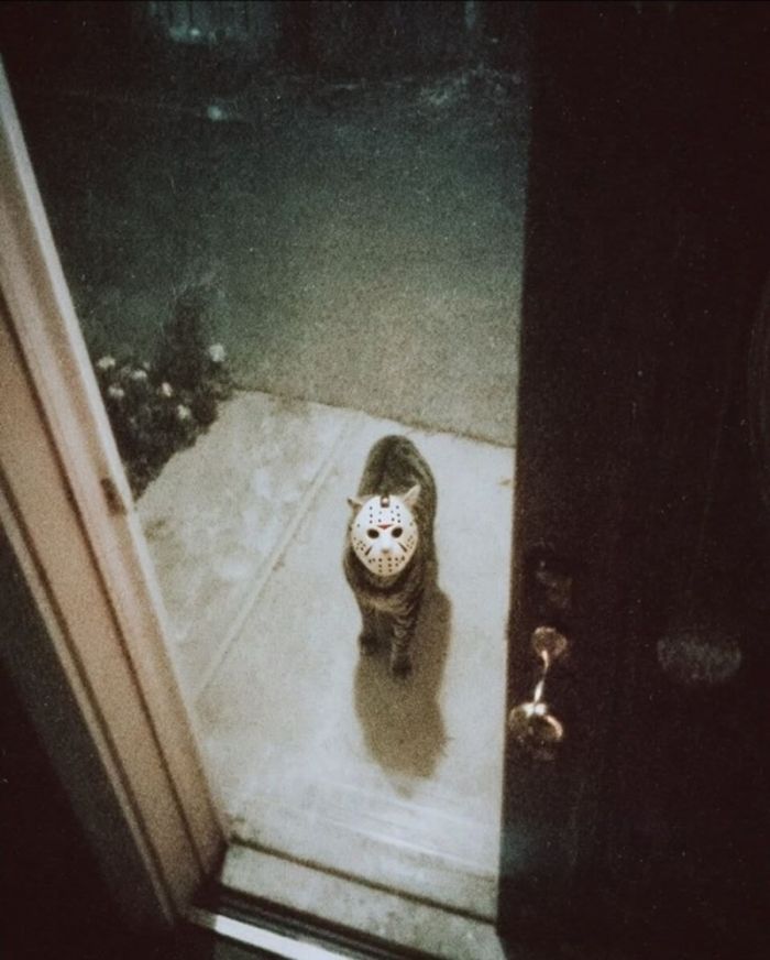 Дождались! Пятница принесла с собой не только выходные, но и порцию свежего юмора! Дождались! Пятница принесла с собой не только выходные, но и порцию свежего юмора! native-yes